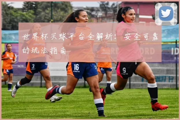 世界杯买球平台全解析:安全可靠的玩法指南