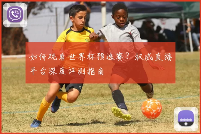 如何观看世界杯预选赛？权威直播平台深度评测指南