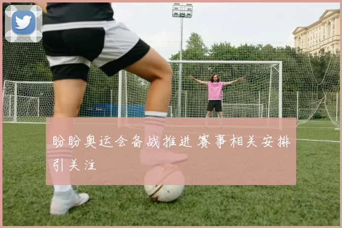 盼盼奥运会备战推进 赛事相关安排引关注