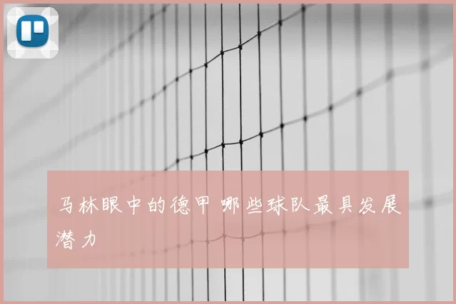 马林眼中的德甲 哪些球队最具发展潜力