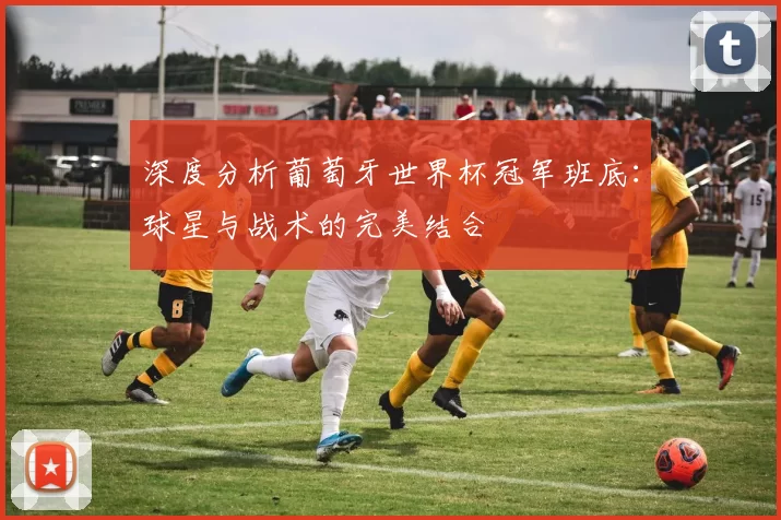 深度分析葡萄牙世界杯冠军班底:球星与战术的完美结合
