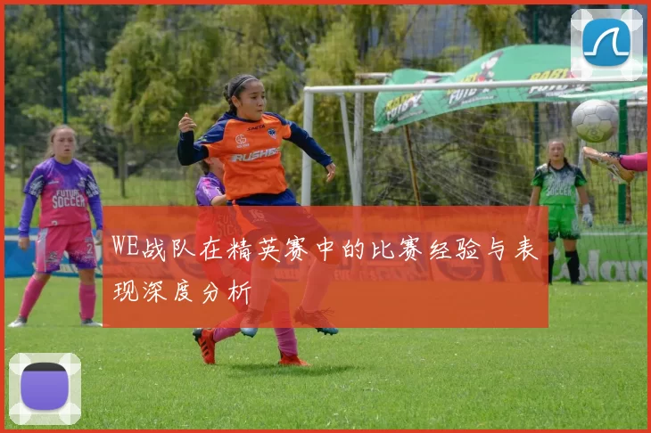 WE战队在精英赛中的比赛经验与表现深度分析