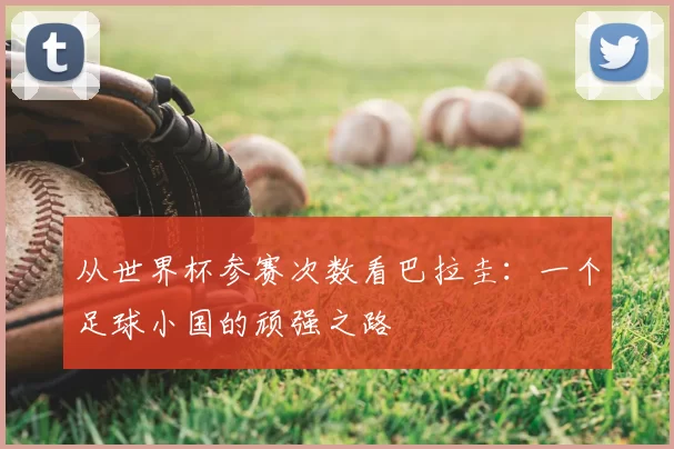 从世界杯参赛次数看巴拉圭：一个足球小国的顽强之路