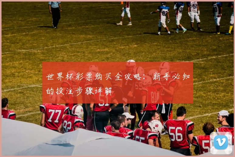 世界杯彩票购买全攻略:新手必知的投注步骤详解