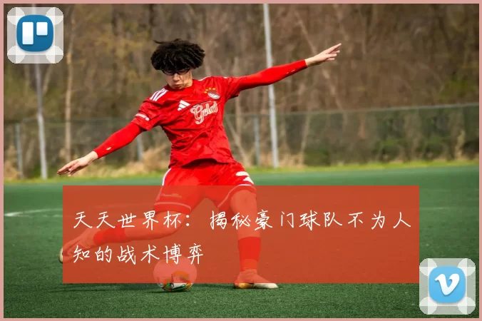 天天世界杯：揭秘豪门球队不为人知的战术博弈