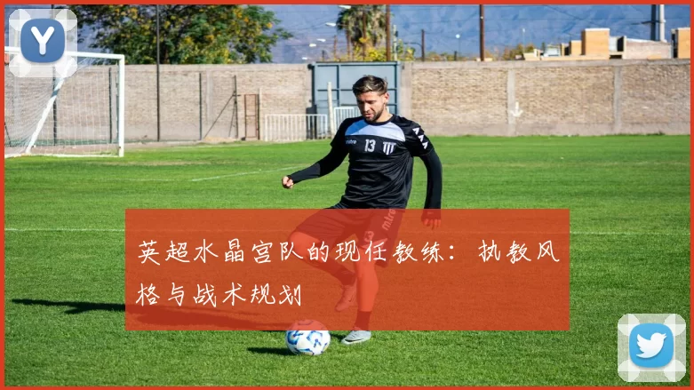 英超水晶宫队的现任教练：执教风格与战术规划
