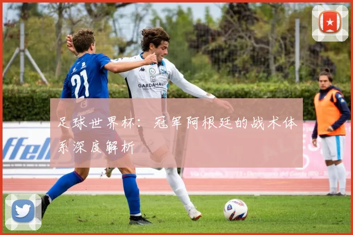 足球世界杯：冠军阿根廷的战术体系深度解析