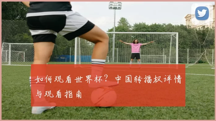 如何观看世界杯？中国转播权详情与观看指南
