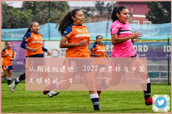 从期待到遗憾:2022世界杯与中国足球的这一年