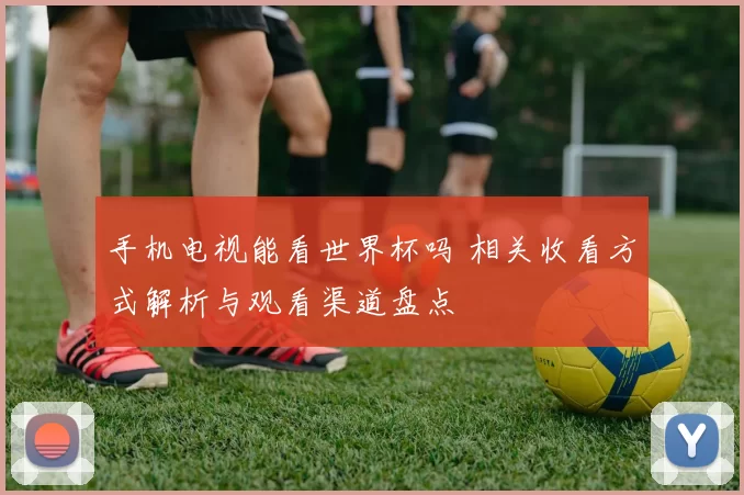 手机电视能看世界杯吗 相关收看方式解析与观看渠道盘点