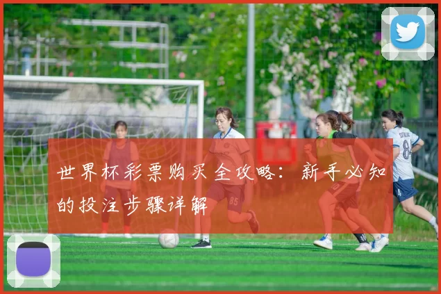 世界杯彩票购买全攻略:新手必知的投注步骤详解